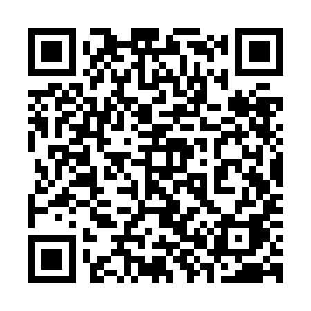QR code for 383ZIA