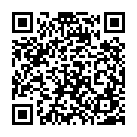 QR code for 384AGV
