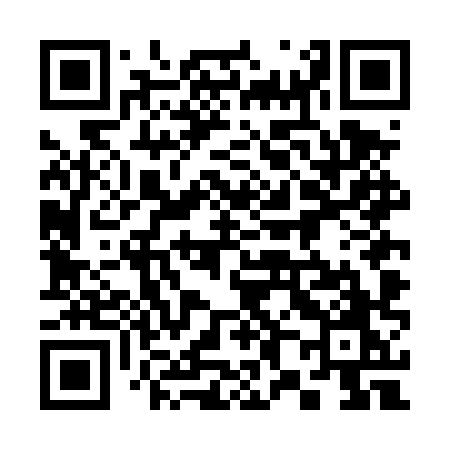 QR code for 384DXO