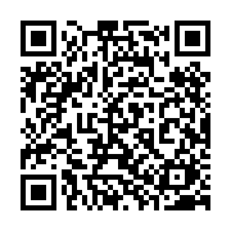 QR code for 384PBM