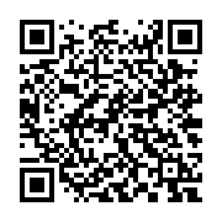 QR code for 384PCH