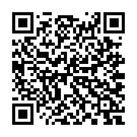 QR code for 384PLF