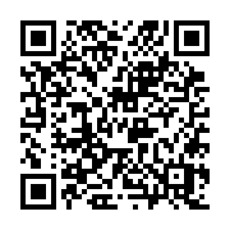 QR code for 384SOT