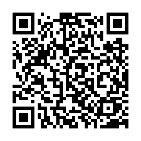 QR code for 384WWU