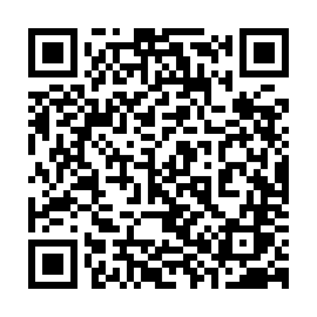 QR code for 384YNS