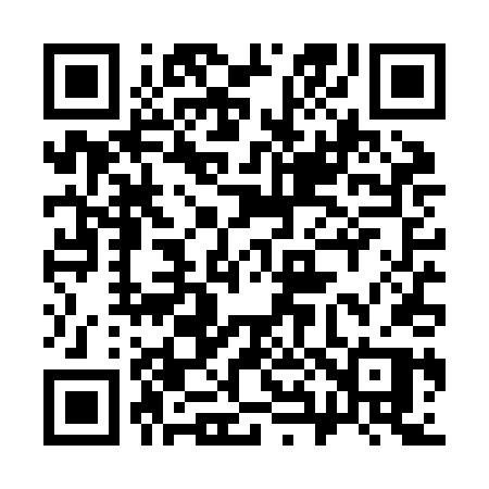 QR code for 384ZDP