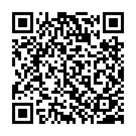 QR code for 386SAP