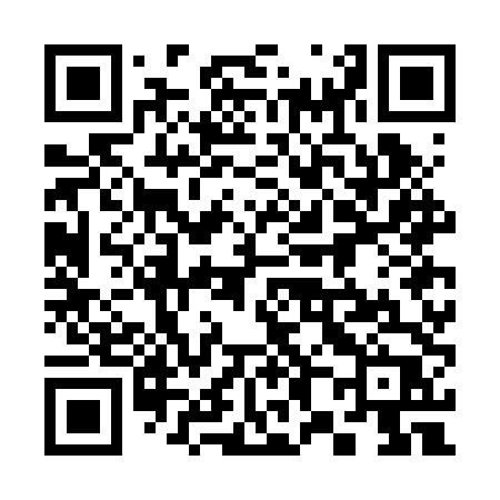 QR code for 387BTP