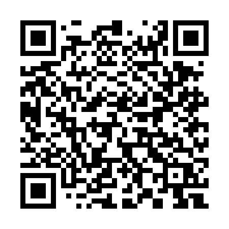 QR code for 387DFP