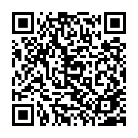 QR code for 387EXE