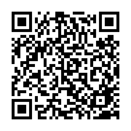 QR code for 387TPG