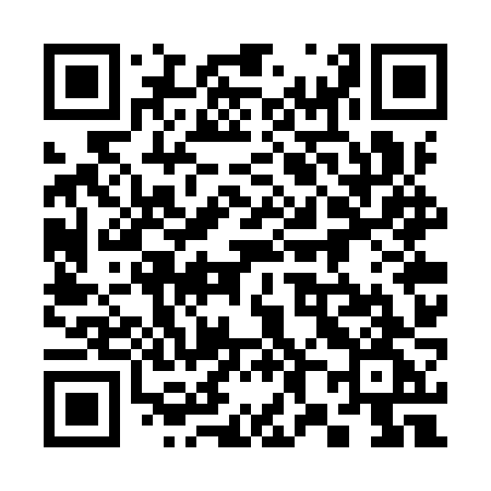 QR code for 387YZG