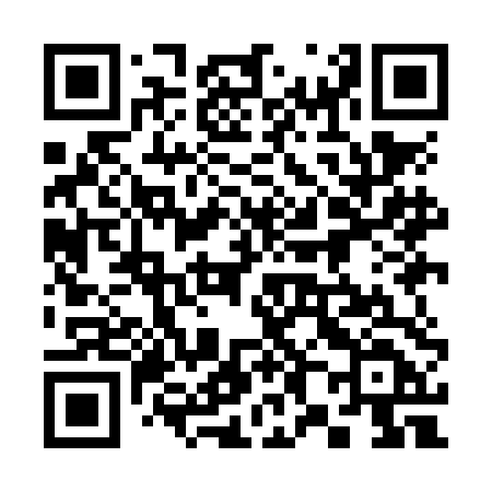 QR code for 389NDD