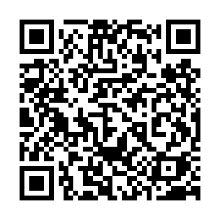 QR code for 391DSI