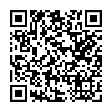 QR code for 393BBN