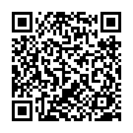 QR code for 393BGO