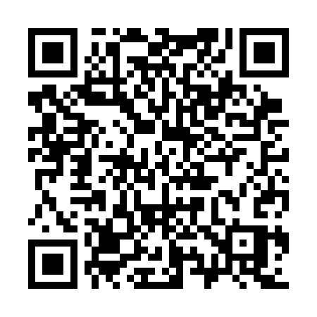 QR code for 393CCS