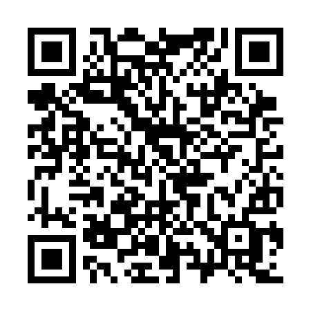 QR code for 393CIF