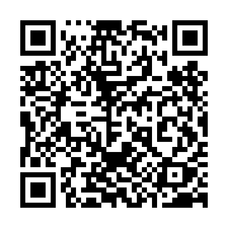 QR code for 393DAY