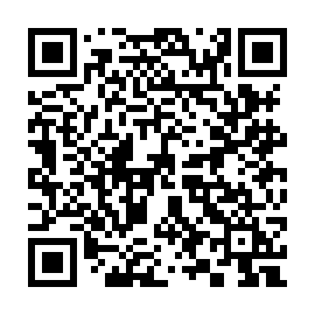 QR code for 393HGI