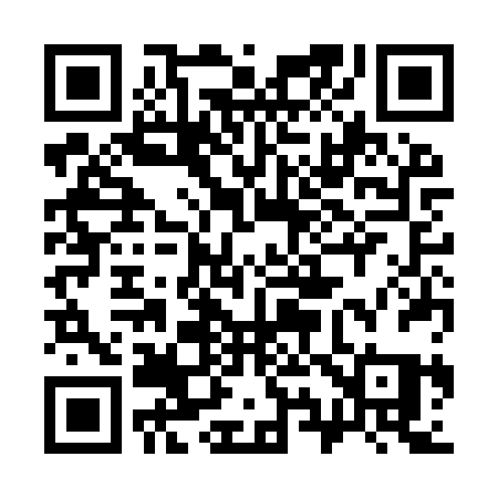 QR code for 393IRQ