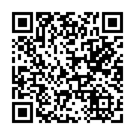 QR code for 393LMI