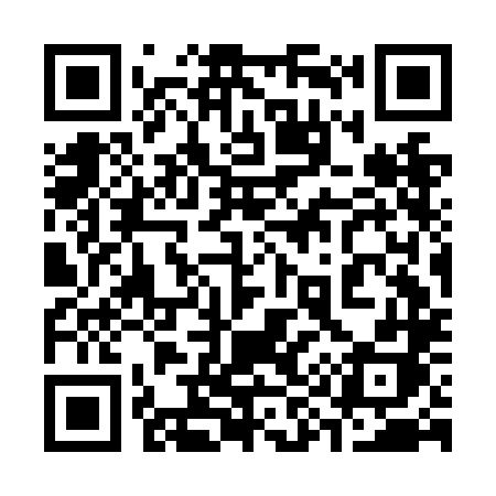 QR code for 393NLH