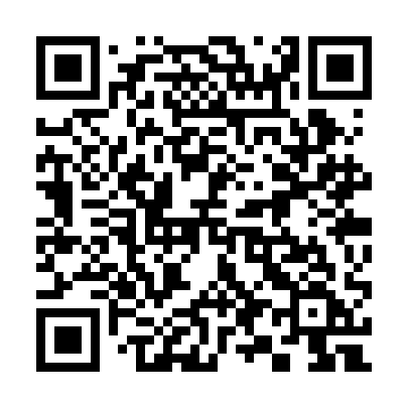QR code for 393RAF