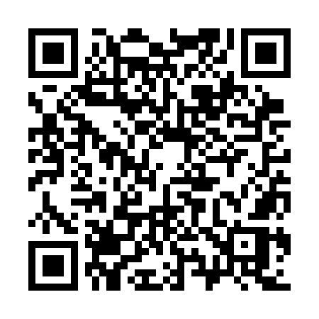 QR code for 393SOR