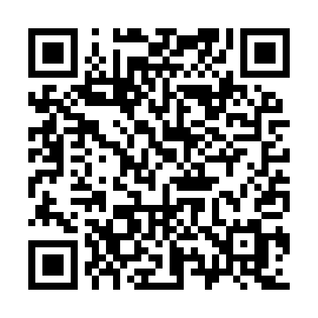QR code for 393YQM