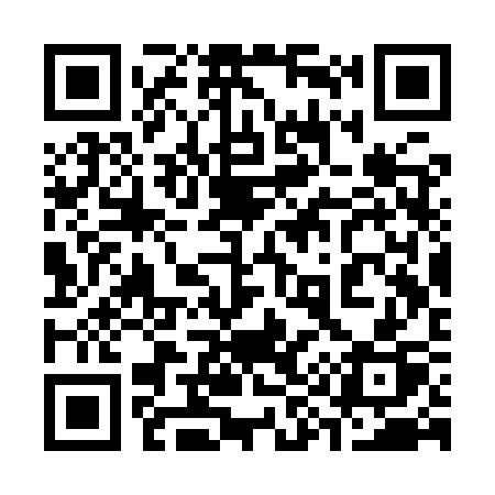 QR code for 393YSP