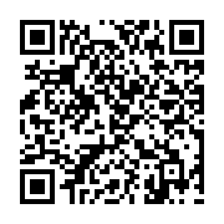 QR code for 393YZA