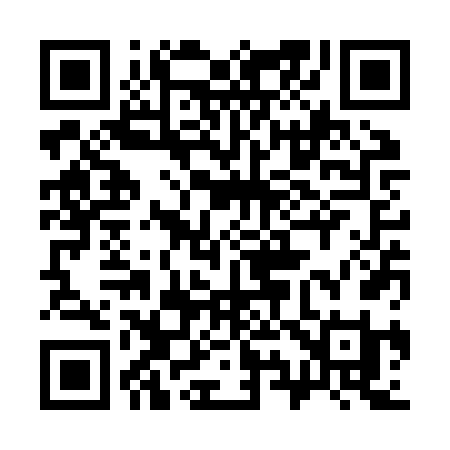 QR code for 393ZVI