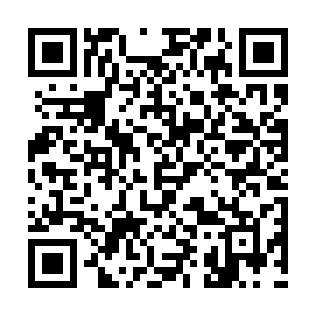 QR code for 394ASM