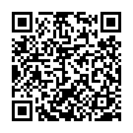 QR code for 394DSS