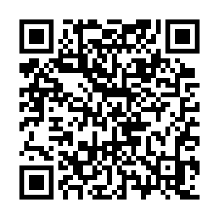 QR code for 394STK