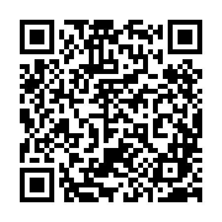 QR code for 398PLL