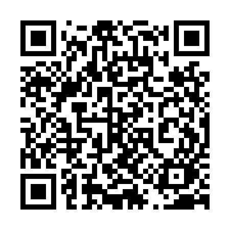 QR code for 411LUO