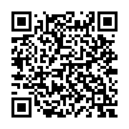 QR code for 411PQN