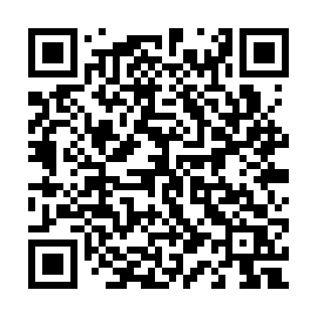 QR code for 411SVR