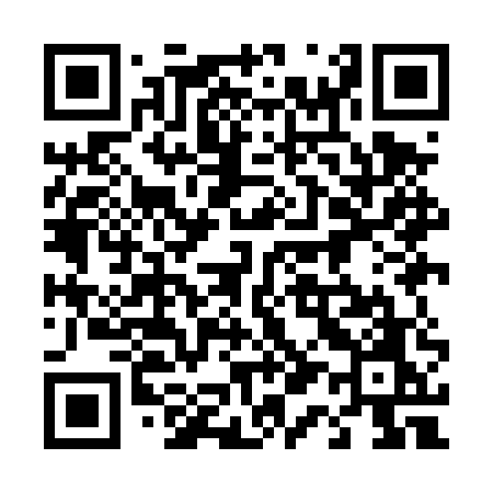 QR code for 419DUO