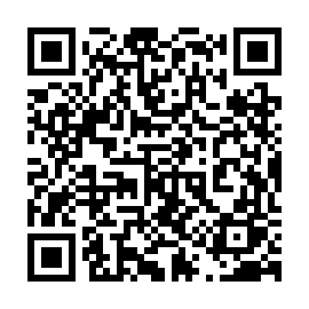 QR code for 419SFP