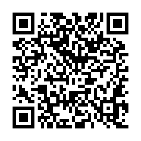 QR code for 419ZMO