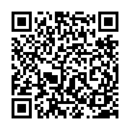 QR code for 421NES