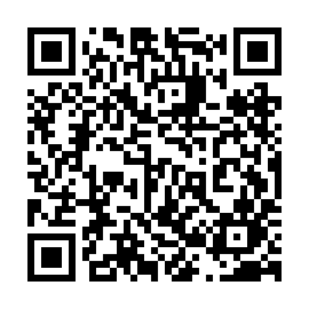 QR code for 425BIN