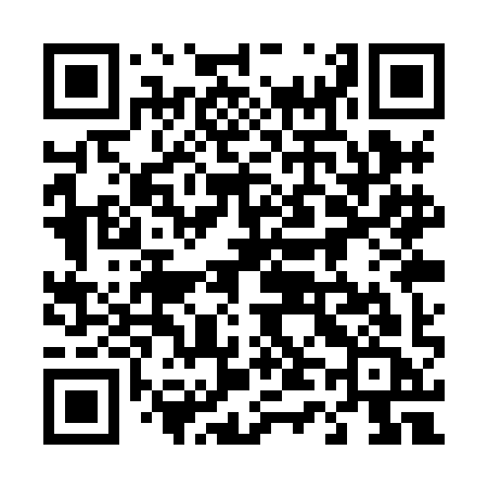 QR code for 441XIC