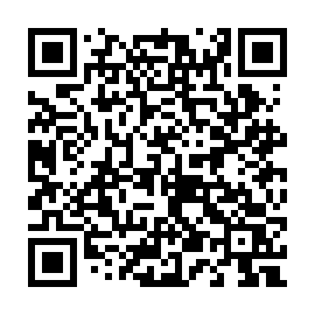 QR code for 453BFS