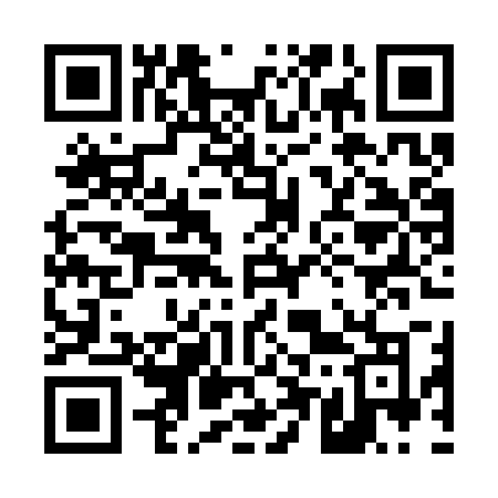 QR code for 458SRO