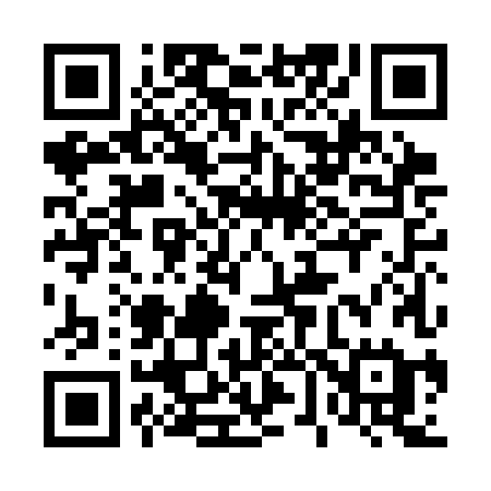 QR code for 460CHE