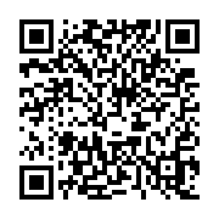 QR code for 461GAO